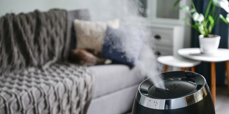 air humidifier in living room