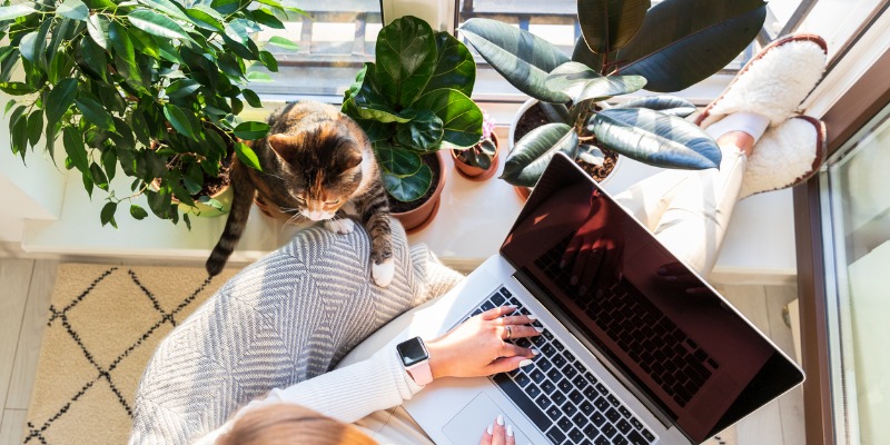 Girl sitting by window in the summer with plants and a cat - 3 Benefits of Air Purifiers You Should Know About
