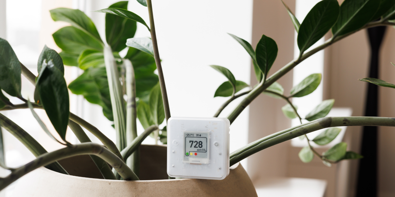 Indoor Air Quality Monitor on plant - 3 Types of Whole-Home Humidifiers & The One You Should Choose